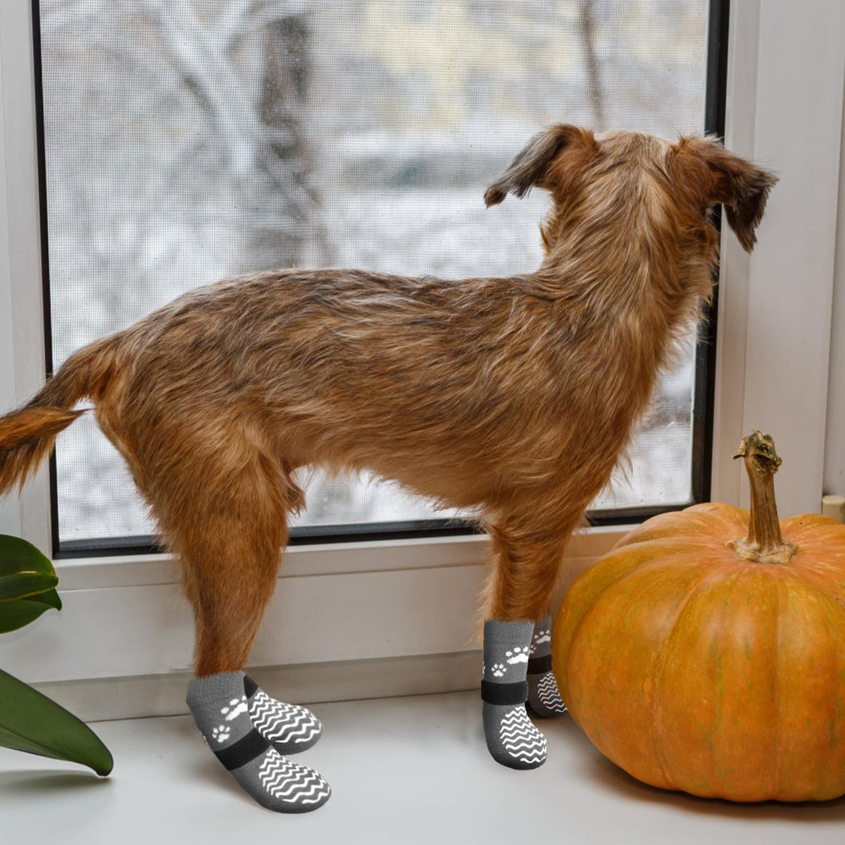 Anti Slip Dog Socks to Prevent Licking Paws for Hot Pavement (Thick Grey / Small)