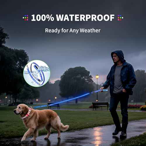LED Dog Leash (Green / 6 feet)