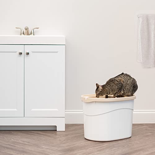 Top Entry Cat Litter Box (Oval / White w/ Scoop)