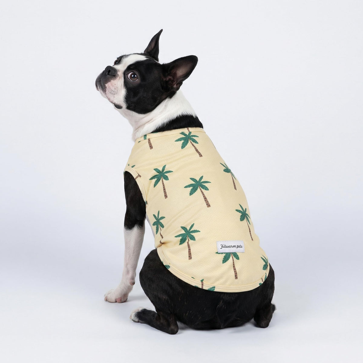 2 Pack Toucan & Palm Tree UPF 50+ Sun UV Protection Dog Shirt (X-Large / Toucan & Palm Tree)