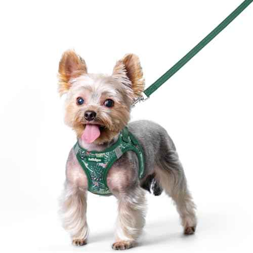 Dog Harness Small Sized and Leash Set (Rainforest Green / Xs (chest: 13.3 - 15.5"))