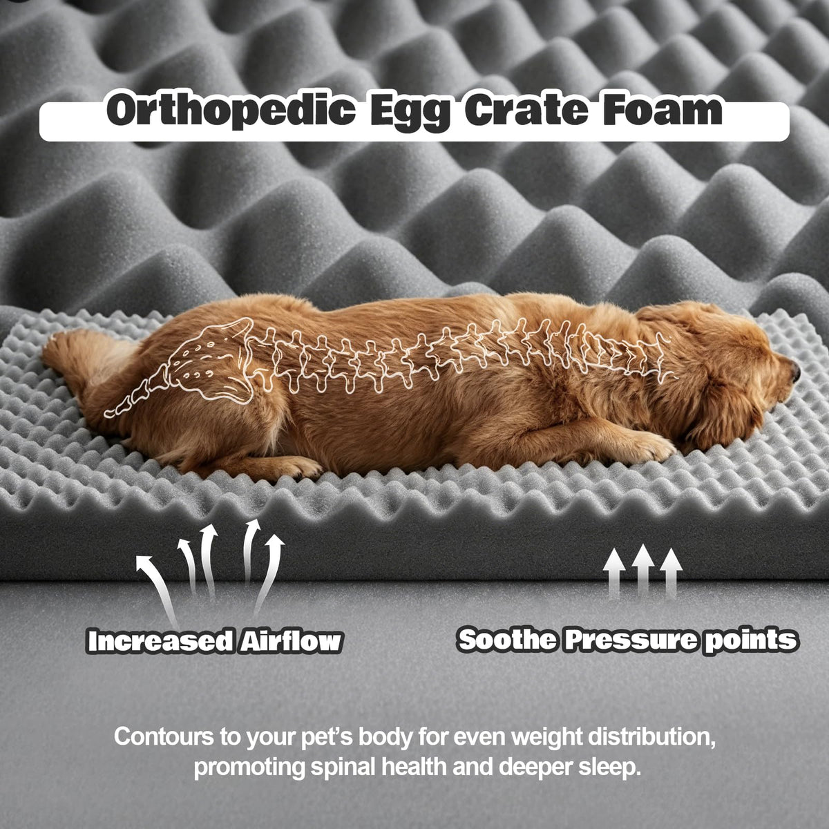 Orthopedic Extra Large Dog Bed (Dark Grey / 44.0" L x 31.5" W x 7.5" Th)