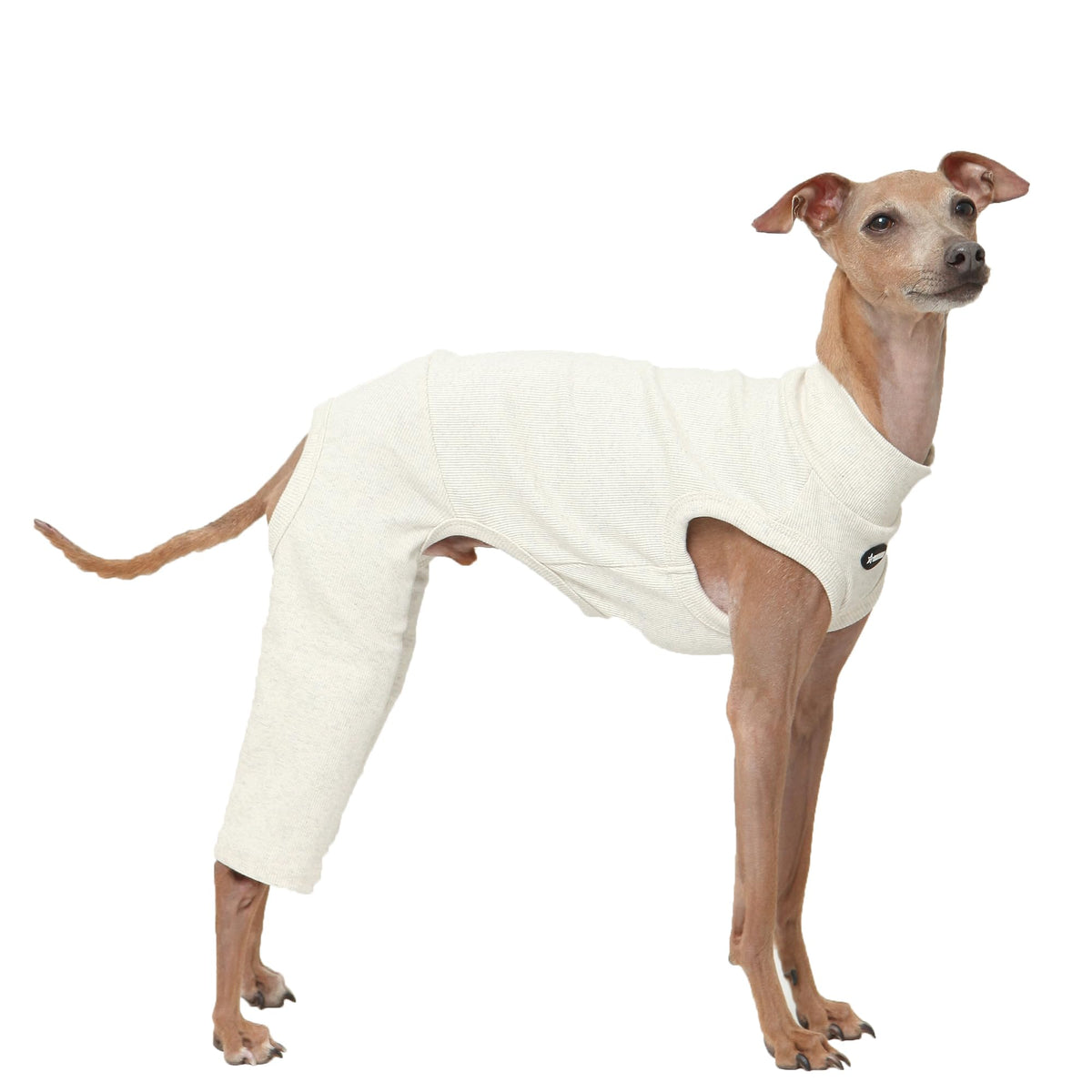 D Doggy Star Italian Greyhound Clothes High (M / COORDI OTAMEAL)