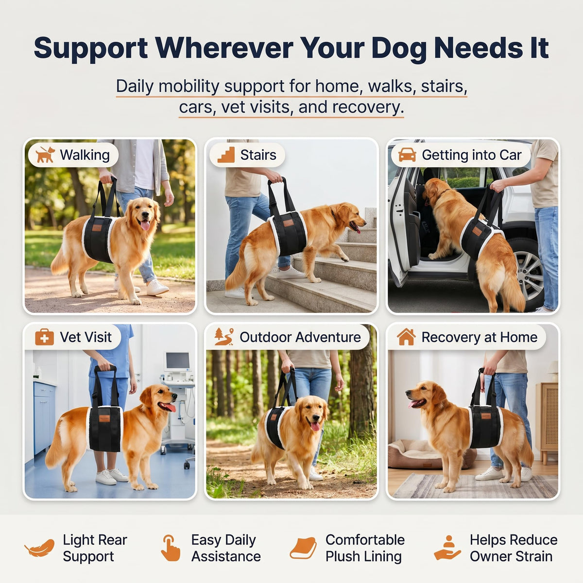 Dog Lifting Sling Dog Lift Harness for Back Legs (Large / Black)