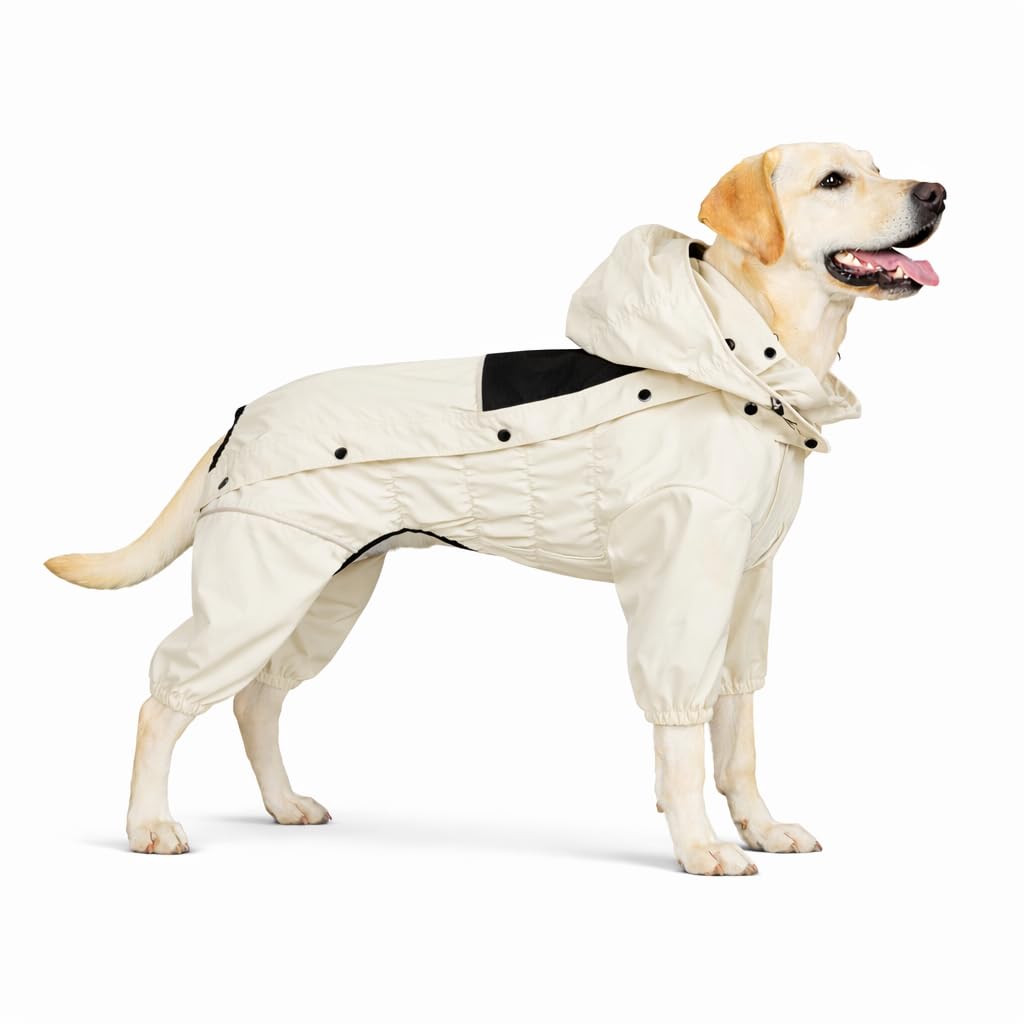 Waterproof Dog Raincoat with Removable Hood (Ivory / XL (Back 18"))