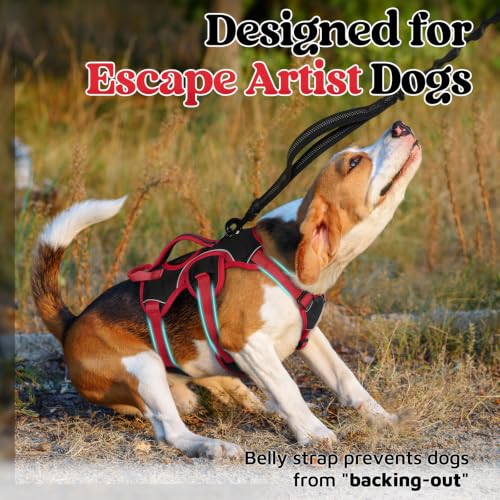 Escape Proof Dog Harness for Small (Red & Black / Small)