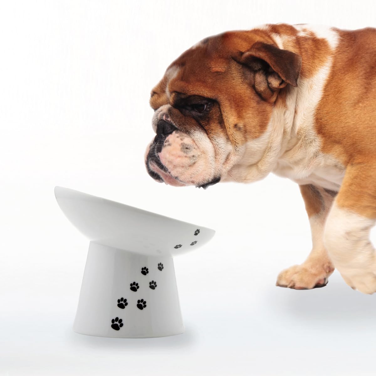 Necoichi Raised Dog Food Bowl (Extra Wide (Pack of 1))