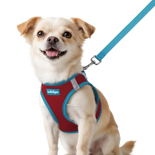 Dog Harness Small Sized and Leash Set (Red & Teal / XXS (Chest: 12.4"-14.2"))