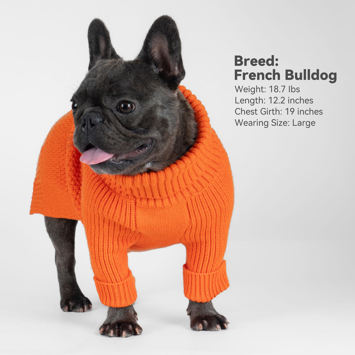 Dog Sweater Long Sleeve Knitted Turtleneck Pullover Warm Clothes (Orange / Medium)