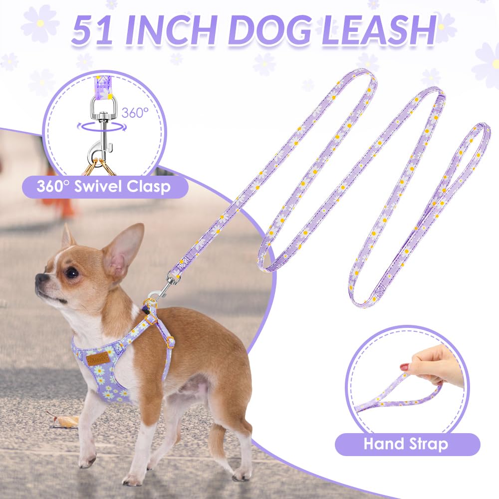 No Pull Dog Harness with Leash for Small Medium Dogs (XX-Small(2.2-6lb) / Purple Daisy)
