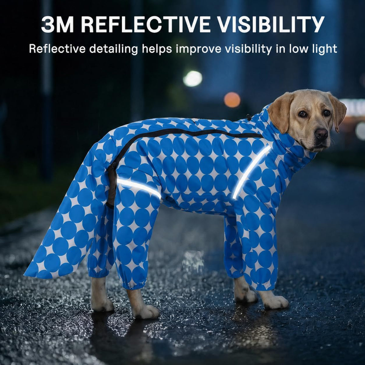 Polka Dot Dog Raincoat (Royal Blue / X-Large)
