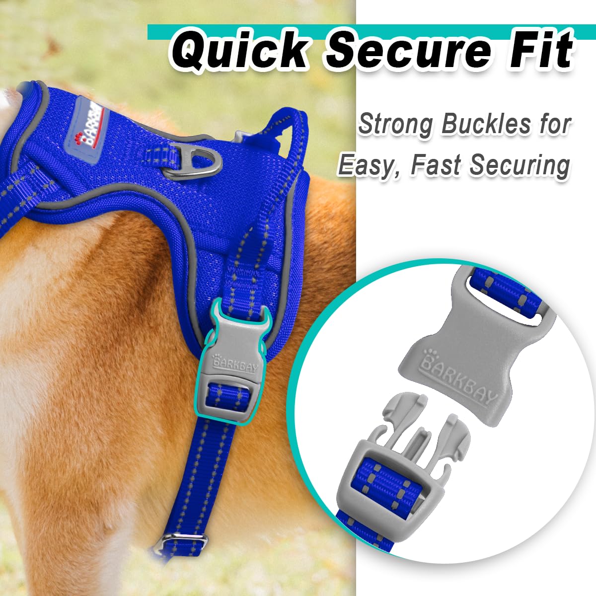 Dog Harness for Small Sized Dog No Pull Mesh 2 Clips Dog Vest (Sapphire Blue-Mesh / Small)