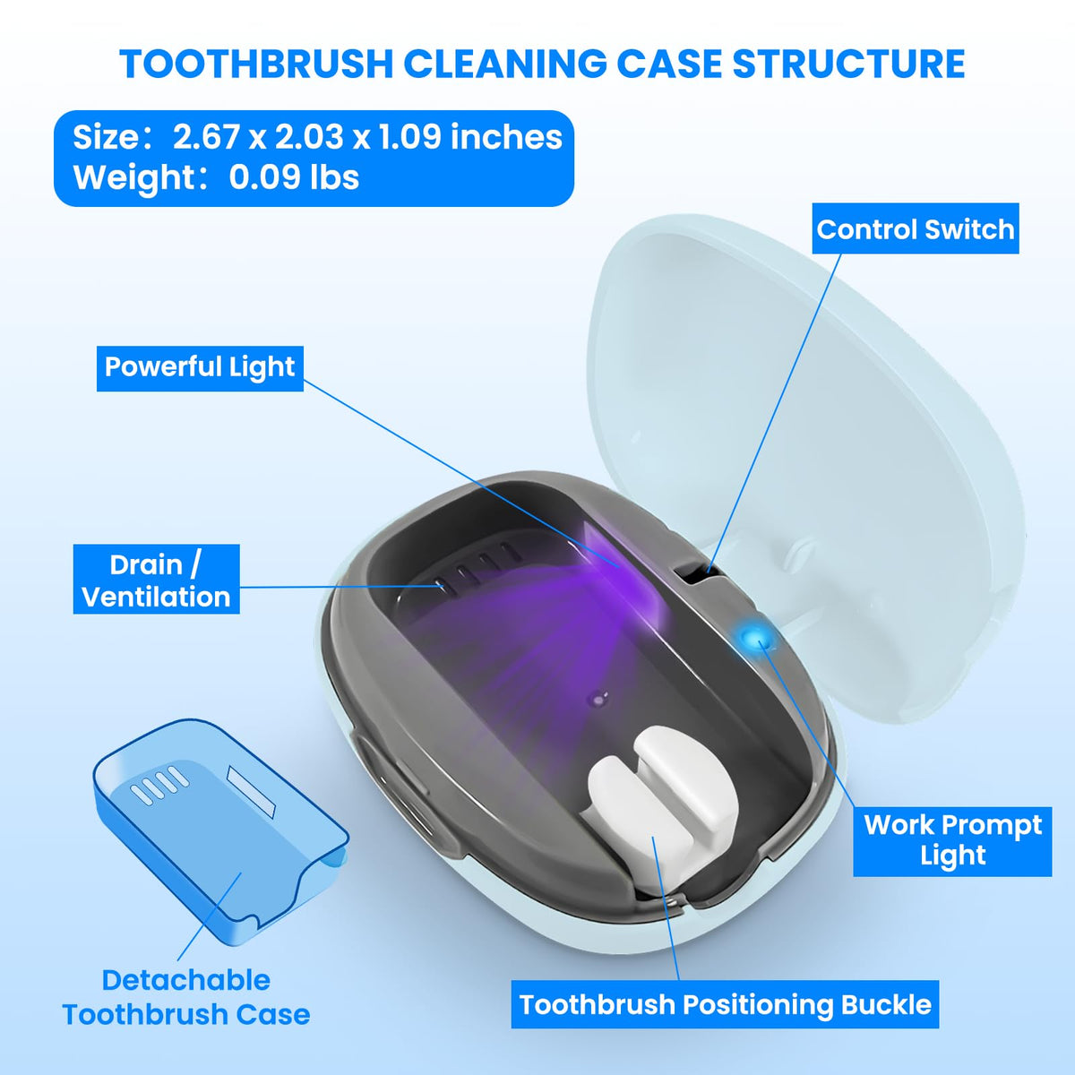 Toothbrush Cleaner Case (Blue)