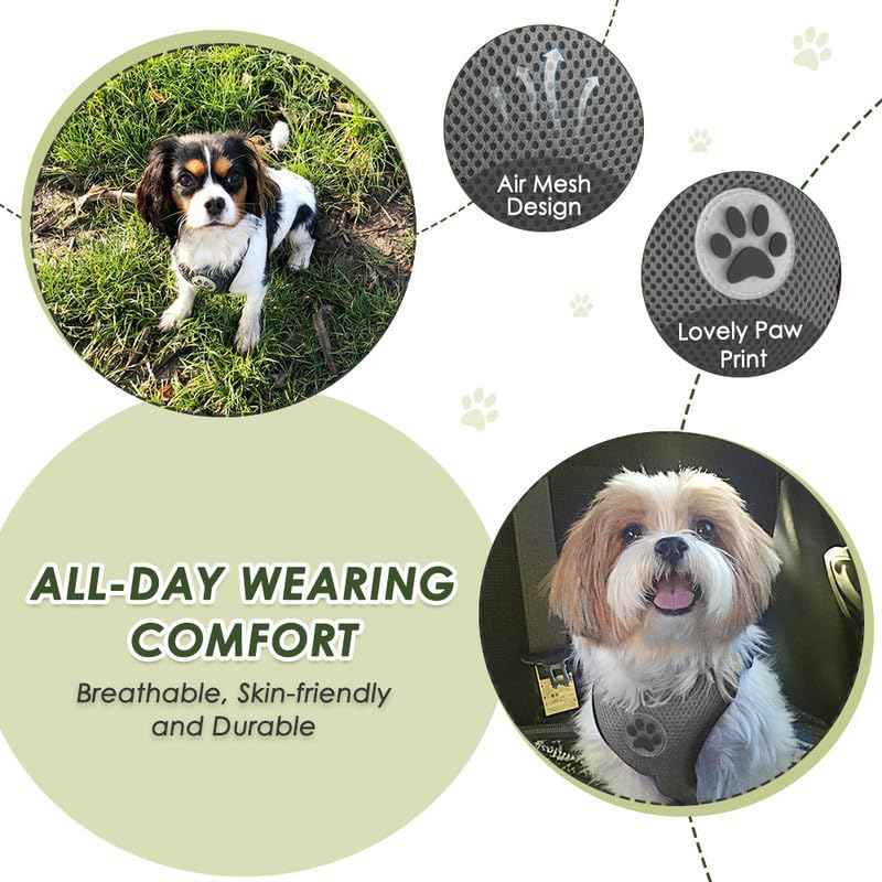 Dog Seat Belt and Harness for Car (Grey / Small)