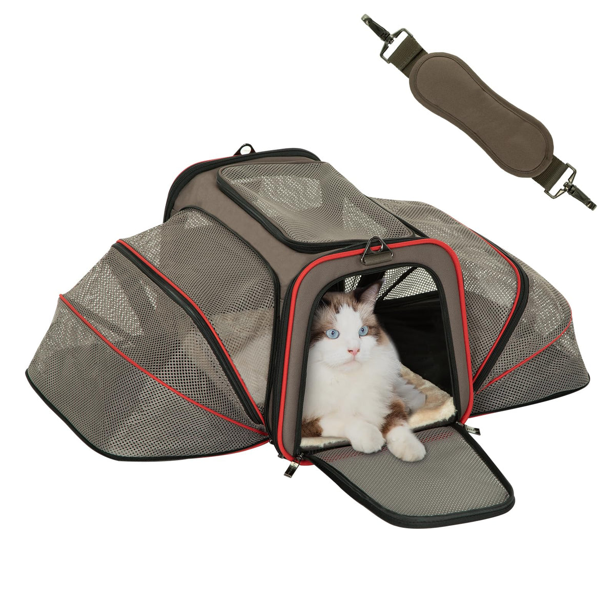 Expandable Cat Dog Carrier for 2 Cats (19"L x 12"W x 12"H / Brown)
