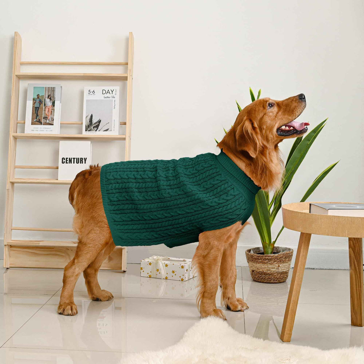 Dog Sweater 2 Pack for Large Dogs (Red & Green / XXX-Large)