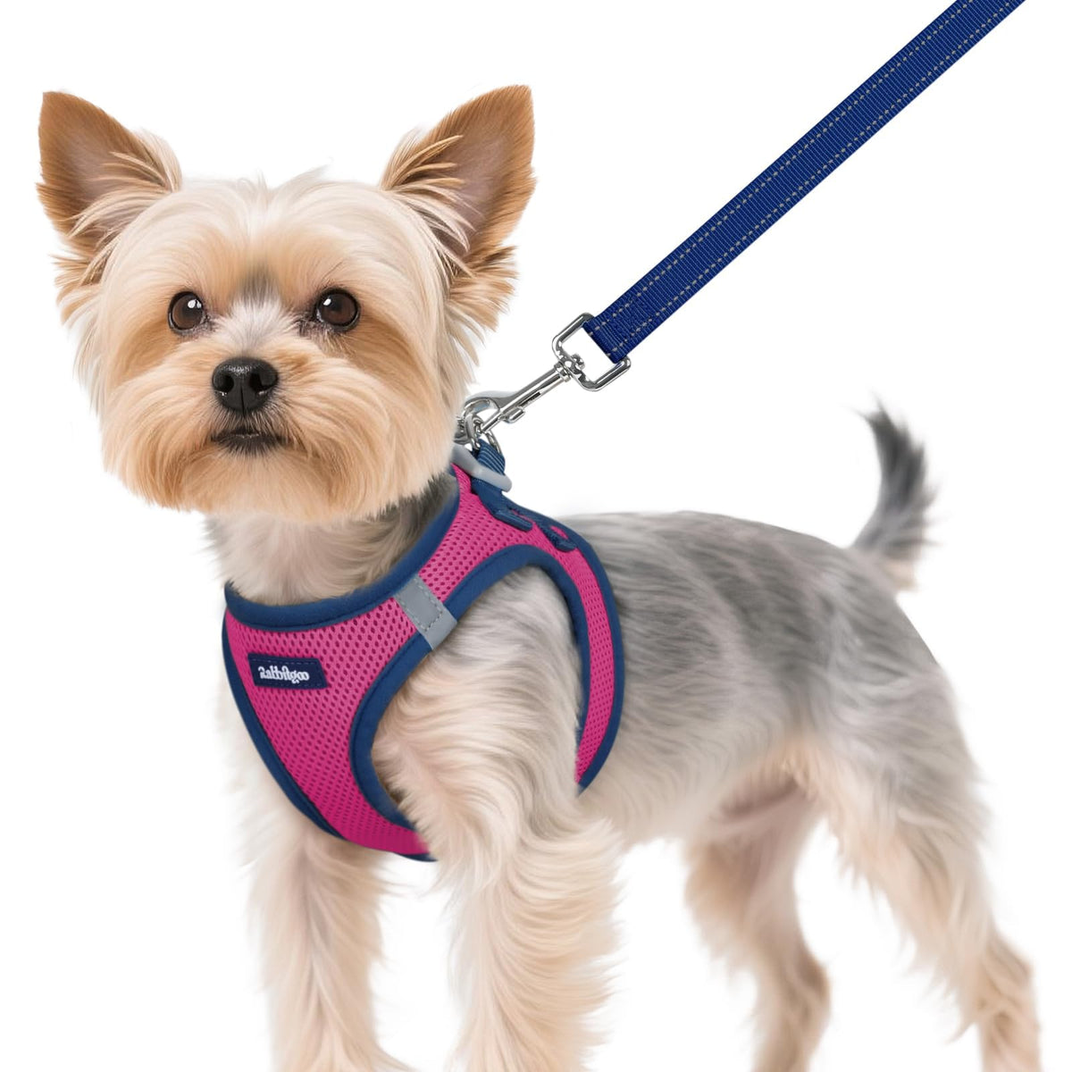 Dog Harness Small Sized and Leash Set (Rose Red & Navy Blue / XS (Chest: 13.3"-15.5"))