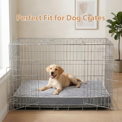 Orthopedic Waterproof Extra Large Senior Dogs Bed for Comfy Sleep (Light Grey / 44"L x 32"W x 4"Th)