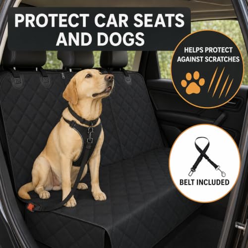 Back Seat Cover for Dogs (Split Bench / Medium (54" W))