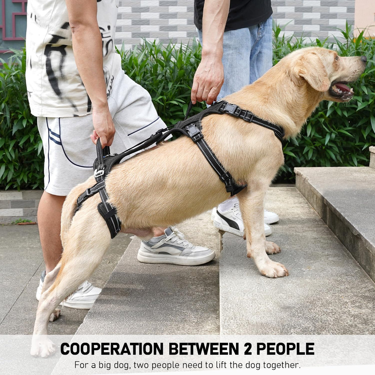 Mobility Dog Lift Harness (Black / L)