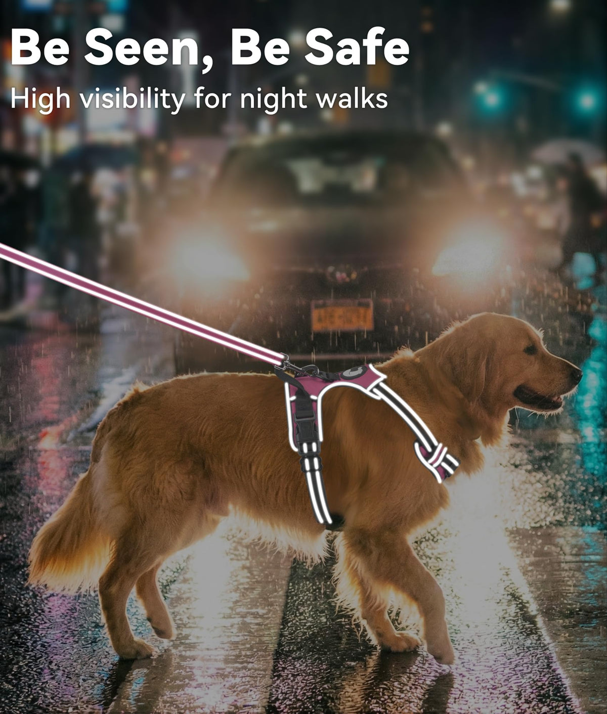 No Pull Dog Harness for Small Dogs (Small / Hotpink)
