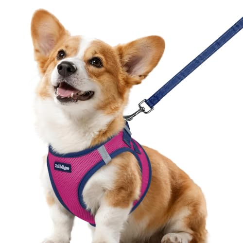 Dog Harness Small Sized and Leash Set (Rose Red & Navy Blue / L (Chest: 18.2"-20.5"))