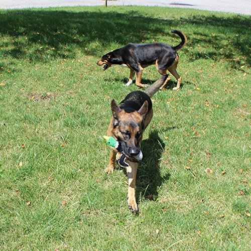5 Pack Dog Squeaky Toys Three no Stuffing Toy and Two Plush with Stuffing for Small Medium Large Dog Pets (Plush and Stuffingless Combo)