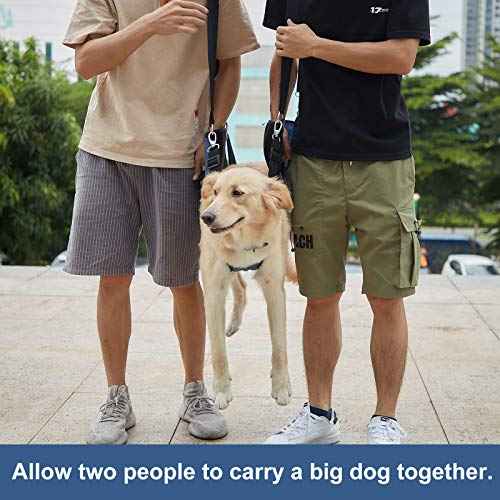 Dog Carry Sling (X-Large / Blue)