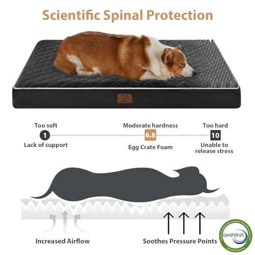 Orthopedic Waterproof Large Dog Bed for Crate Cozy Sleep (black / 35"L x 22"W x 3"Th)
