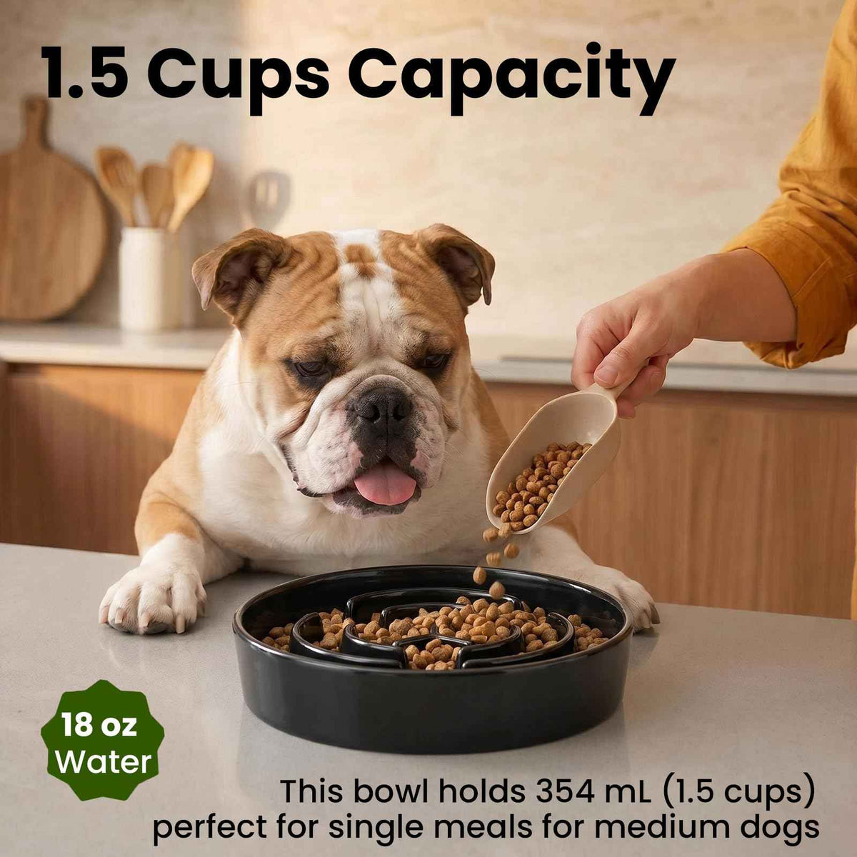 Ceramic Slow Feeder Dog Bowls 1.5 Cups for Medium & Small Fast Eaters (White / M - 1.5 Cup)