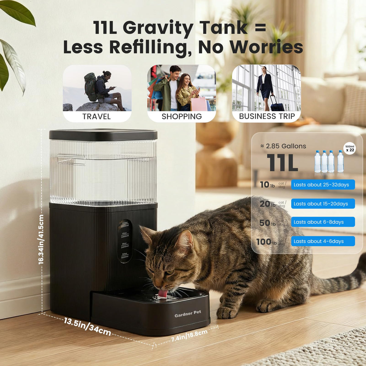 2.9 Gallon Automatic Dog Water Dispenser with Stainless Steel Bowl (Black / 2.9 Gallon)