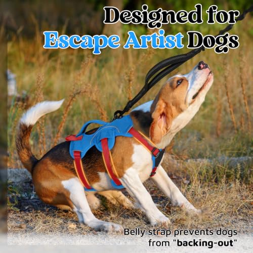 Escape Proof Dog Harness for Small (Red & Blue / Small)