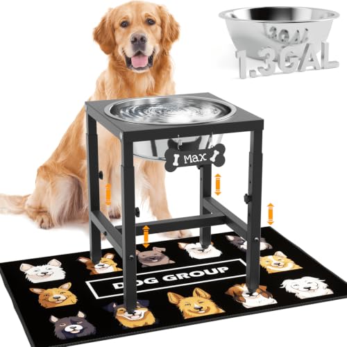 1.32 Gallon Elevated Dog Water Bowl for Large Dogs (Black-1.6 GAL / Height: 13-18")