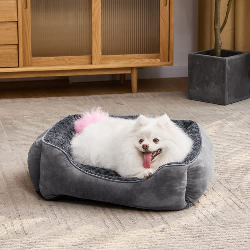 Rectangle Dog Bed for Large Medium Small Dogs Machine Washable Sleeping Dog Sofa Bed Non (Dark Grey / M(25"x 21"x 8"))