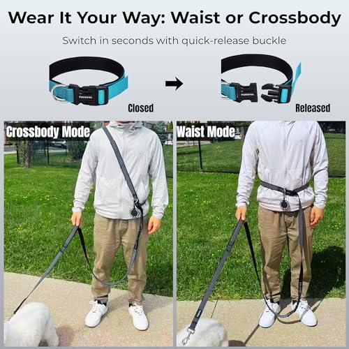 Hands Free Dog Leash (Aqua Blue / Medium (6–8FT))
