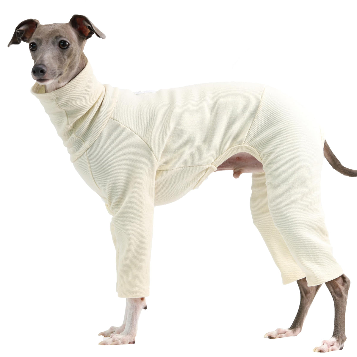 D Doggy Star Italian Greyhound Clothes Stretchable Onesie Whippet for Dog (L / Ribbed Ivory)