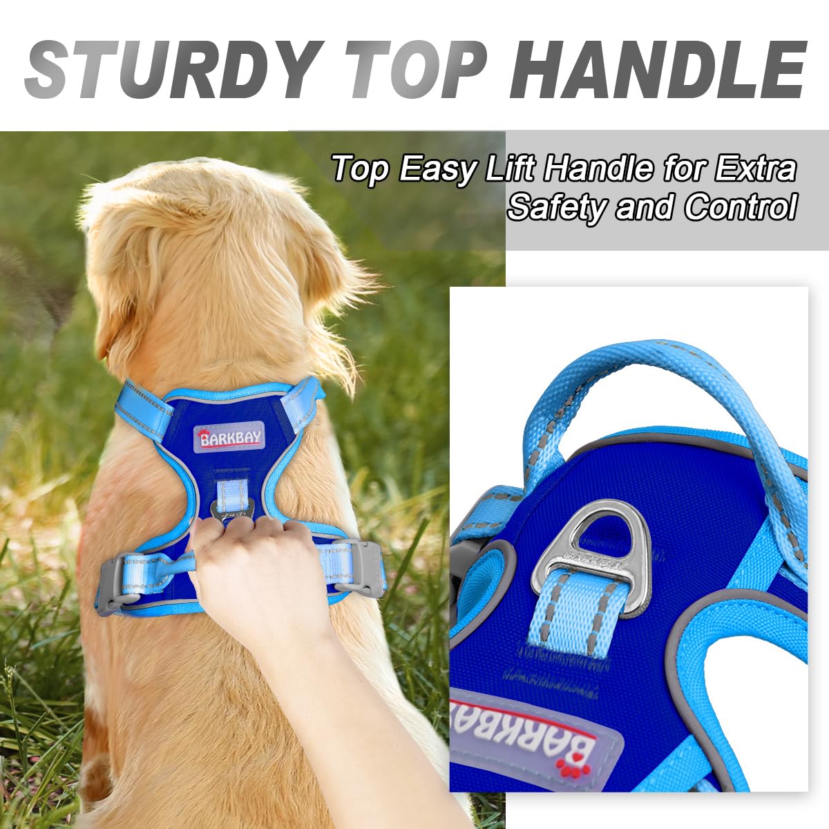 Dog Harness No Pull for Small Sized Dog Front Back Clips (X-Small(Chest:15.5-19.5”) / Sapphire Blue & Blue)