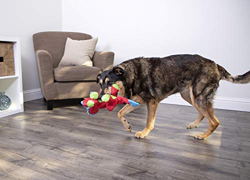 Dinos Frills Squeaky Plush Dog Toy with Chew Guard Technology (Dinos Frills (Red) / Large)