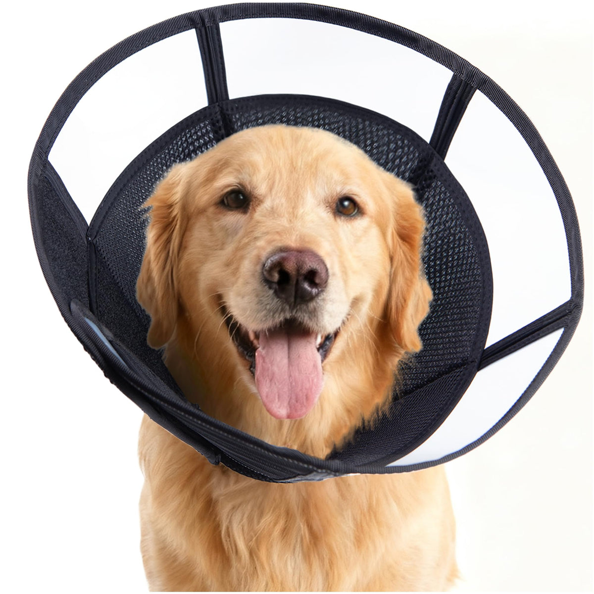 Soft Dog Cone (Black / L(Neck:14.25-18"))