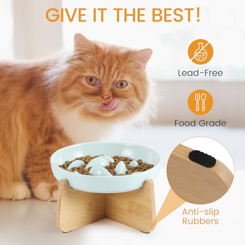 Slow Feeder Cat Bowl Elevated Ceramic with Bamboo Stand (Green Fish)