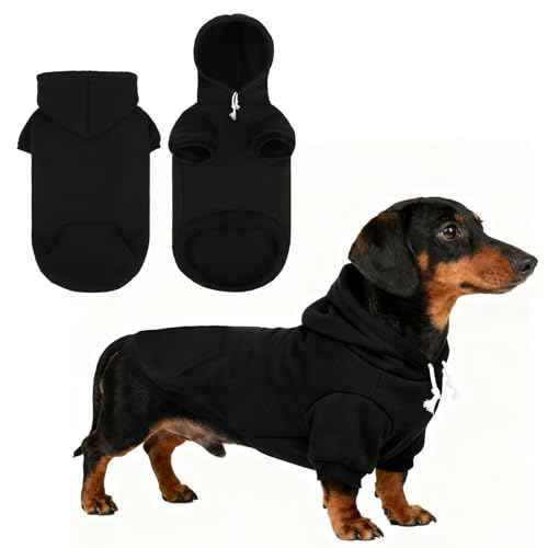 Dachshund Dog Hoodie (Dachshund Black / Medium)