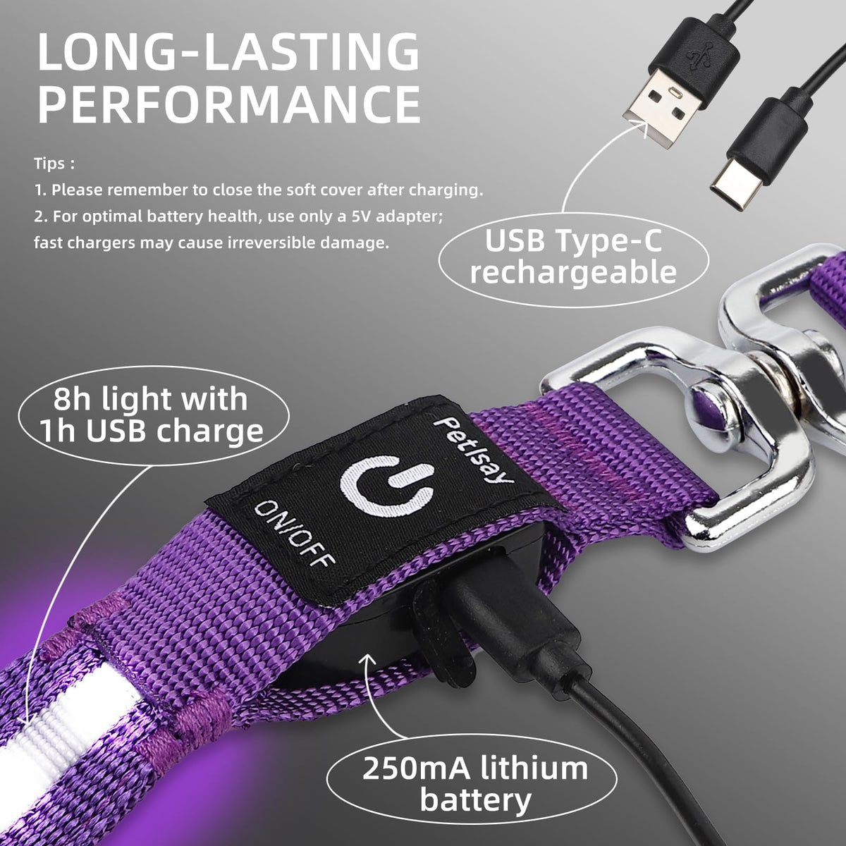 Light up Dog Leash for Night Walking (6 FT / Pink)