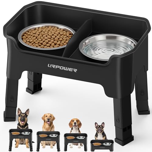 Mess Proof Elevated Dog Bowls (Black / Medium)