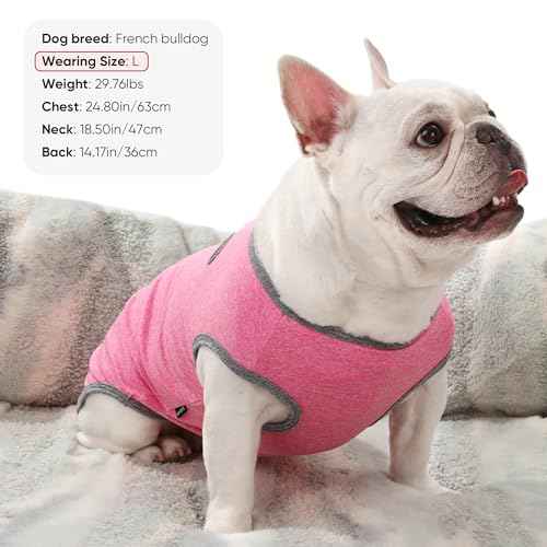 3 Pack Lightweight Sun Protection Dog Shirt Breathable Sleeveless Dog T Shirts Extra Soft Top Tank Dog Clothes for Outdoor Activities (Purple + Skin Pink + Light Pink / M (Back: 14.6",Chest: 19.7", Neck 13.4"))