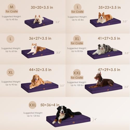 Orthopedic Dog Bed Medium with Removable Washable Cover (30*20*3.5 inches / Purple)