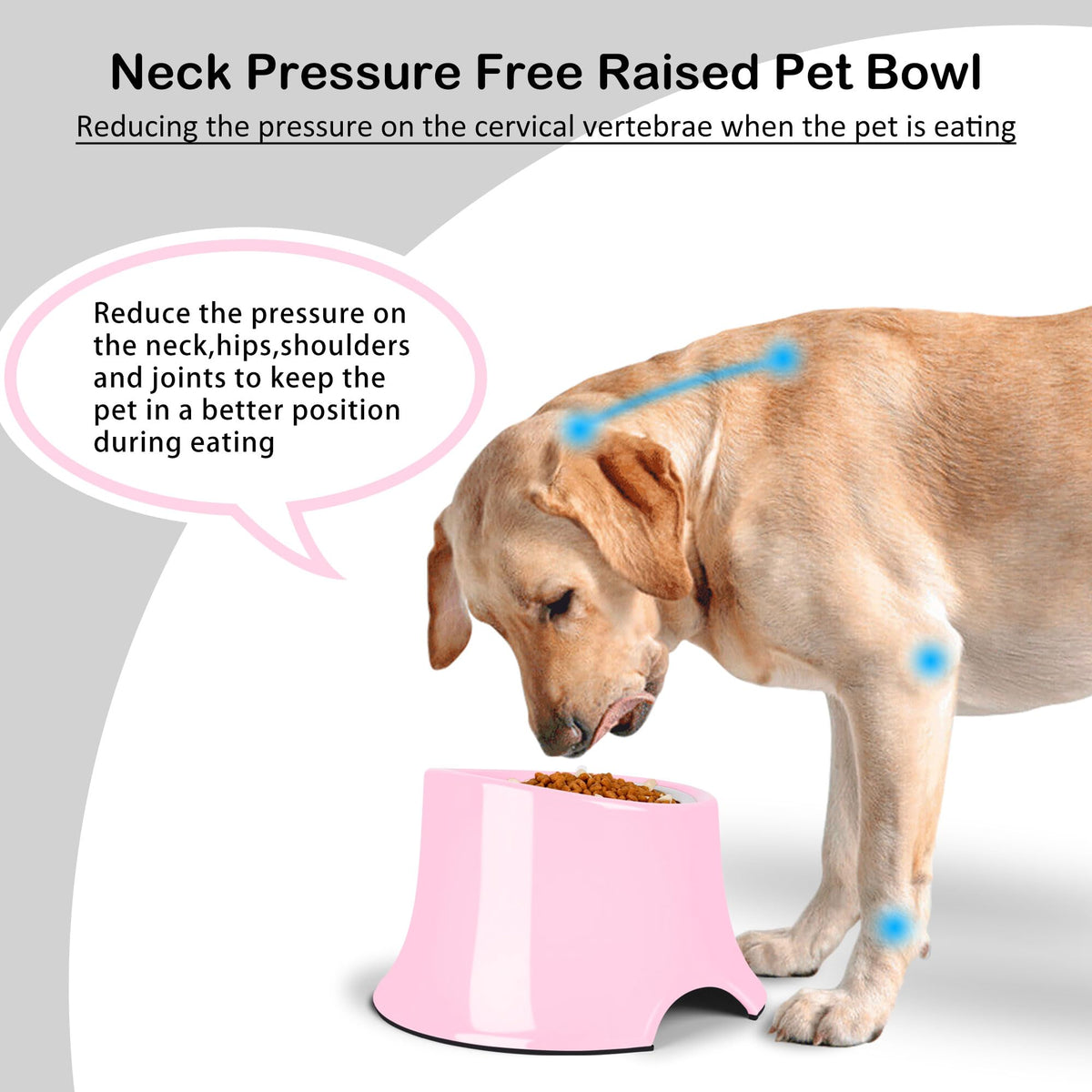 Tilted Elevated Dog Bowls Non (M/2 Cup / Pink)