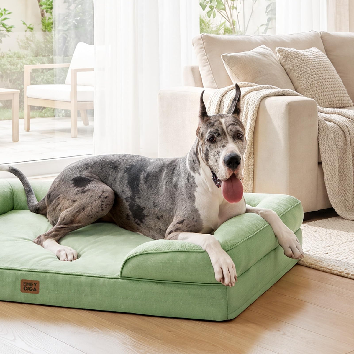 Orthopedic XXL Dog Bed (Sage Green / 52.0"l X 41.0"w X 8.0"th)