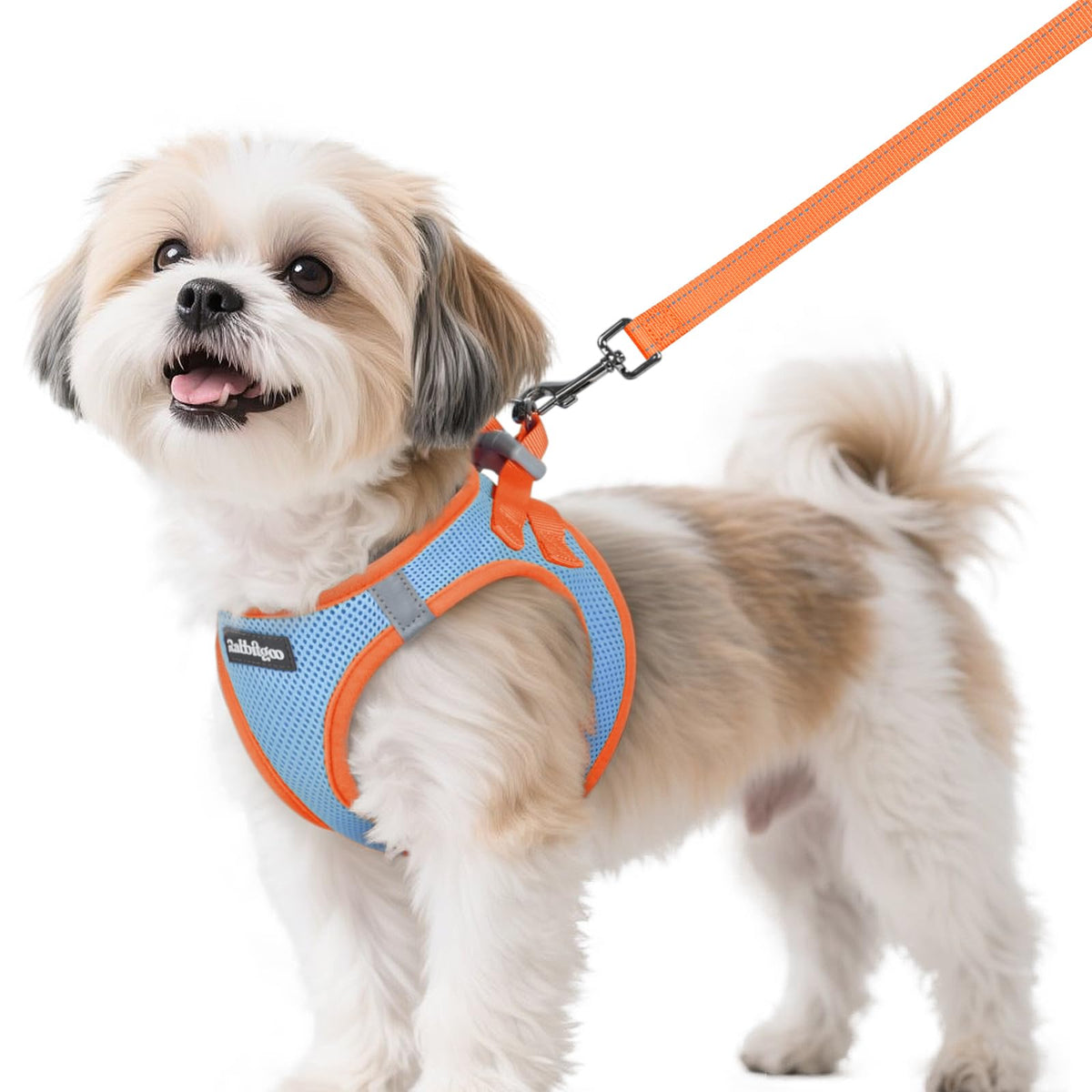Dog Harness Small Sized and Leash Set (Blue & Orange / S (Chest: 15.1"-16.5"))