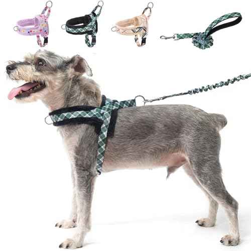 No Pull Small Dog Harness and Leash Set (Green_Velvet / S: Chest 17.5"-22")