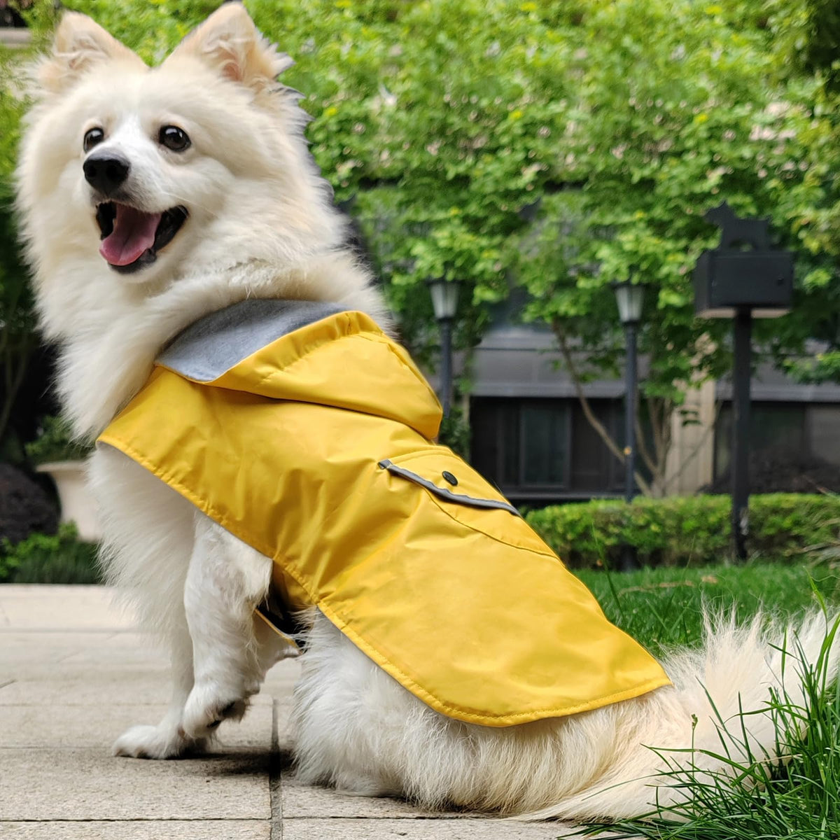 Dog Raincoat Dogs Rain Jacket Reflective Poncho Waterproof Pet Clothes Lined Rainwear Pocket Hooded Leash Hole Adjustable for Small Medium Dogs Puppy (Yellow / M:Back Length 10.5")